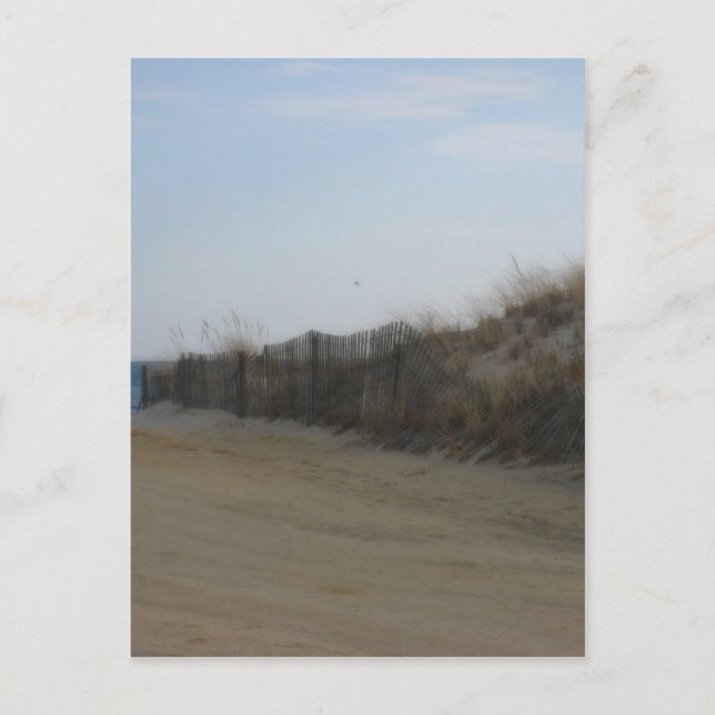 Carte Postale Jersey Shore * Plage adoucie (Devant)