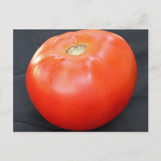 Carte Postale Jersey Tomate 4 (Devant)