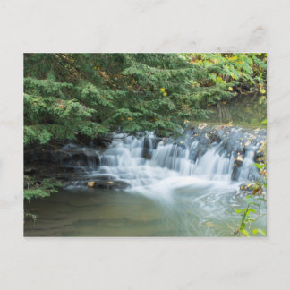 Carte Postale Jesmond Dene