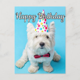 Carte Postale J'Espère Que Vous Avez Un Joyeux Anniversaire