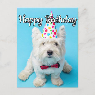 Carte Postale J'espère que vous avez un joyeux anniversaire