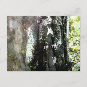 Carte Postale Jésus et l'arbre