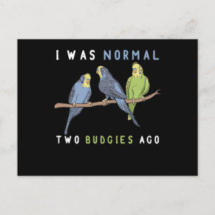 Carte Postale J'Étais Normal Il Y A Deux Épouses, Budgie Bird