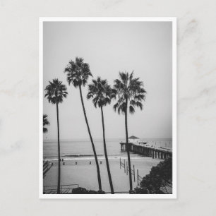 Carte Postale Jetée de Manhattan Beach et palmier noir et blanc