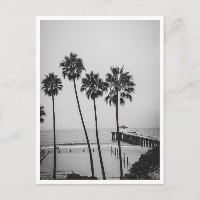 Carte Postale Jetée de Manhattan Beach et palmier noir et blanc (Devant)