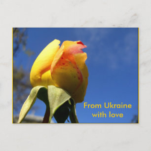Carte Postale Jeu de rose jaune