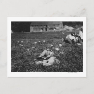 Carte Postale Jeune fille cueillir des canneberges Photo