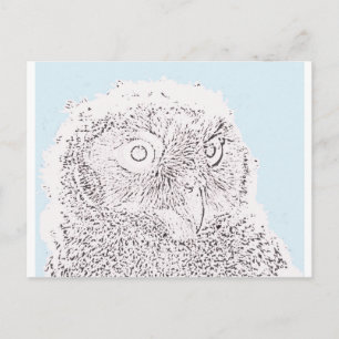 Carte postale - Jeune hibou à colorier