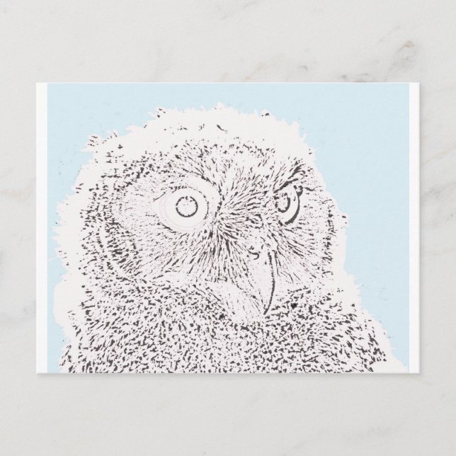 Carte postale - Jeune hibou à colorier (Devant)