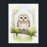 Carte postale Jeune hibou Bébé Animaux sauvages<br><div class="desc">Carte postale Jeune hibou Bébé Jeunes animaux sauvages pour le passage à niveau</div>