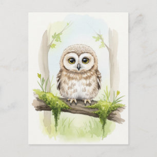 Carte postale Jeune hibou Bébé Animaux sauvages