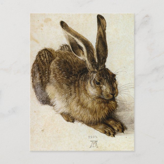 Carte Postale "Jeune lièvre" par Albrecht Dürer (Devant)