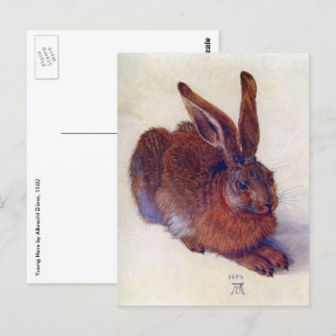 Carte Postale Jeune Lièvre par Albrecht Durer, Beaux-arts de la