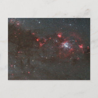 Carte Postale Jeunes, étoiles chaudes dans un bras de spirale du