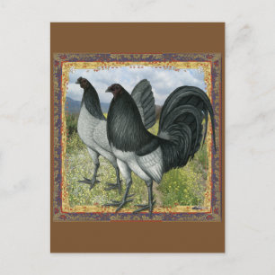Carte Postale Jeux Américains : Self Blue ou Dun