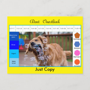 Carte Postale Jeux éducatifs drôles de chien