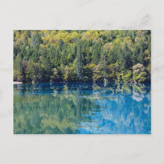 Carte Postale Jiuzhaigou (Devant)