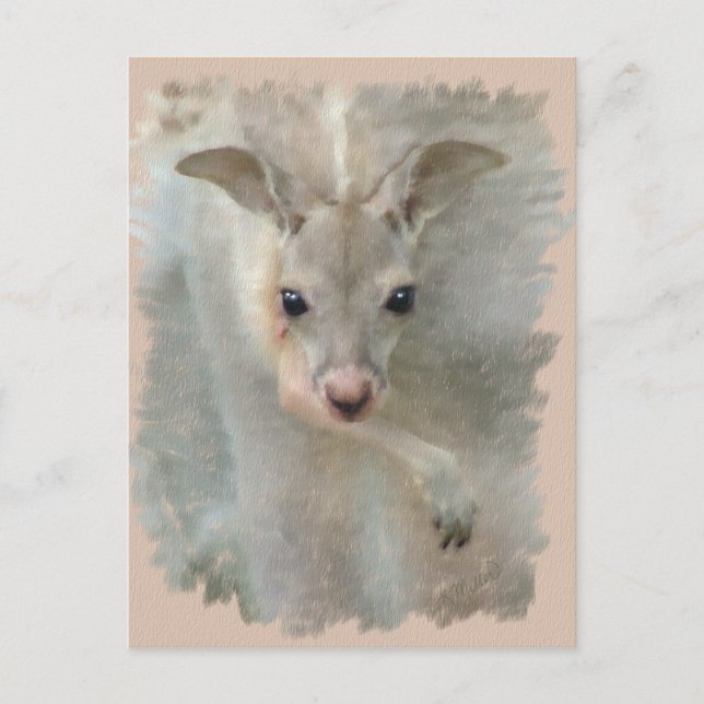 Carte Postale Joey - Pastels Post Card (Devant)