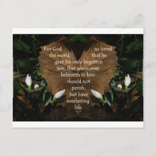 Carte Postale john 3:16 le roi james sur heart leaf
