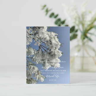 Carte Postale John 3:16 Texte personnalisé | Photo originale de