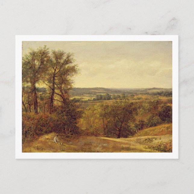 Carte Postale John Constable | Dedham Vale, c.1802 (huile sur ca (Devant)