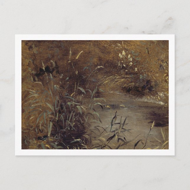 Carte Postale John Constable | Rushes par un Pool, c.1821 (huile (Devant)