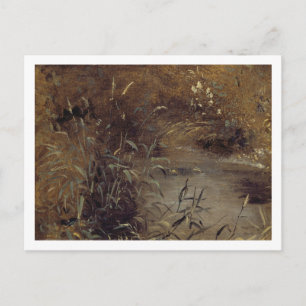 Carte Postale John Constable   Rushes par un Pool, c.1821 (huile