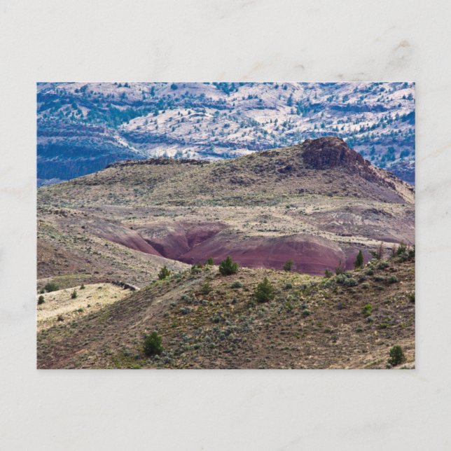 Carte Postale John Day Fossil Beds National Monument, Oregon (Devant)