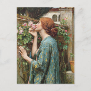Carte Postale John William Waterhouse L'âme du Rose 1908