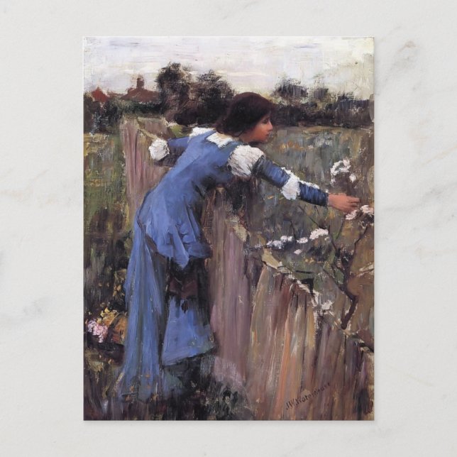 Carte Postale John William Waterhouse - Le Sélecteur de fleurs (Devant)