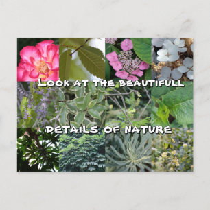 Carte Postale joie texte fleur feuille vert jardin printemps