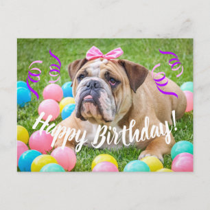 Carte Postale Joli anniversaire de mignonne Bulldog