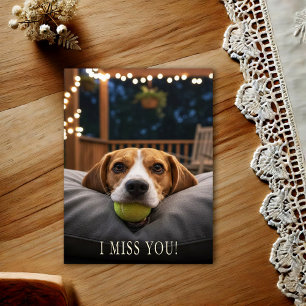 Carte postale 'Joli Beagle Tu me manques'