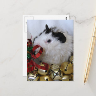 Carte Postale Joli bébé cochon d'Inde joyeux Noël