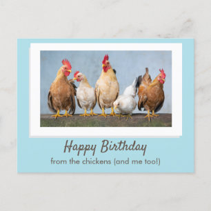 Carte Postale Joli Bleu Joyeux Anniversaire De La Part Des Poule