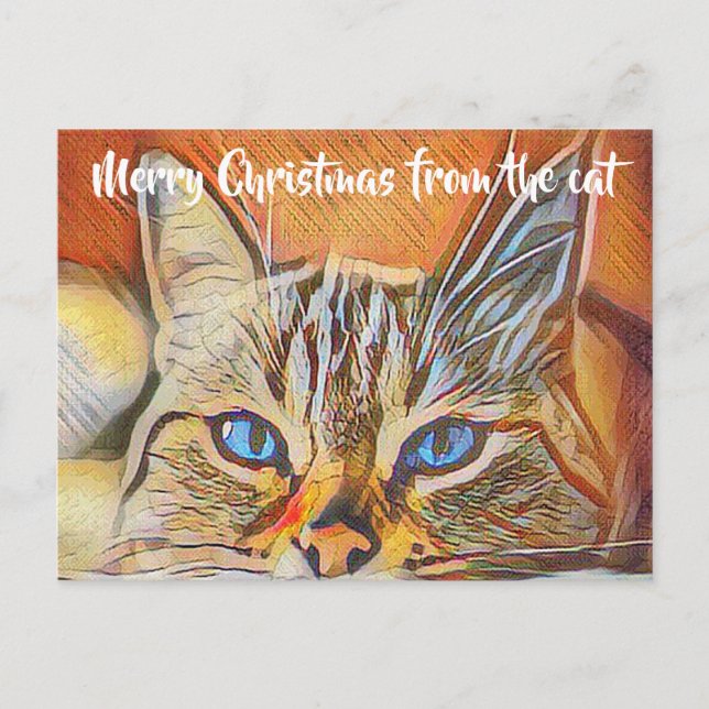 Carte Postale Joli Blue Eyed Cat Art Joyeux Noël Salutation (Devant)