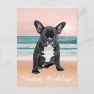 Carte Postale Joli Bouledogue Français Plage Soleil Eau