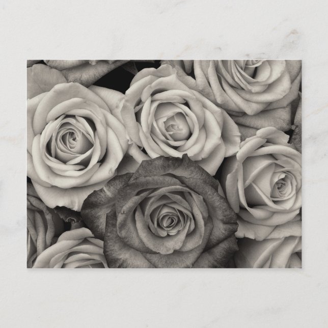 Carte Postale Joli Bouquet de fleurs en roses noires et blanches (Devant)
