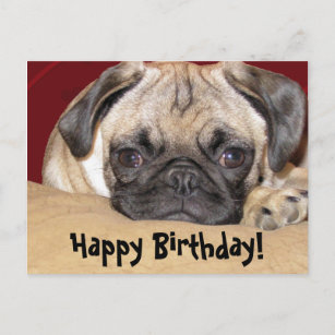 Cartes Carlin D Anniversaire Zazzle Fr