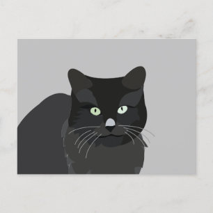 Carte Postale Joli Chat Animal de Compagnie