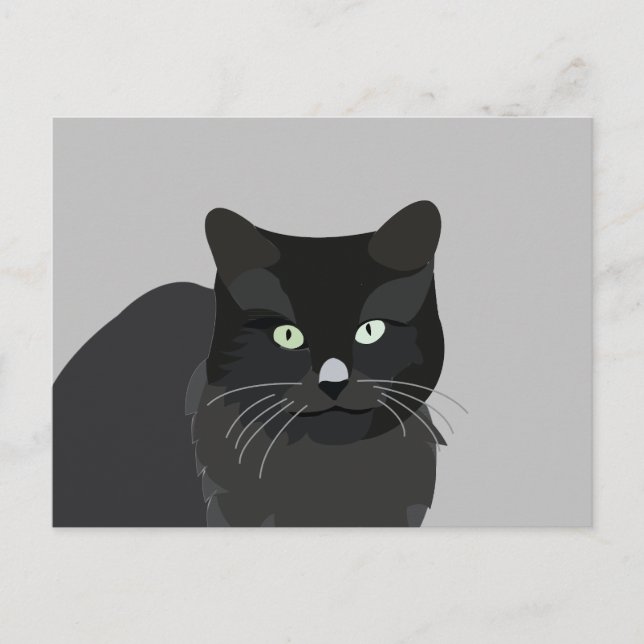 Carte Postale Joli Chat Animal de Compagnie (Devant)