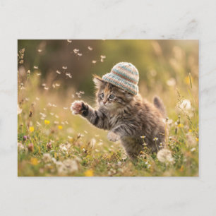 Carte Postale Joli Chatons Portant un Chapeau Jouant avec des Pi