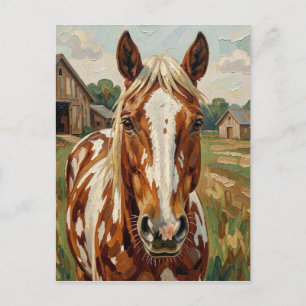 Carte Postale Joli cheval brun et blanc Garder le contact