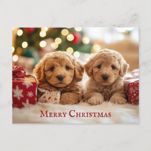 Carte Postale Joli chien chiot Joyeux Noël