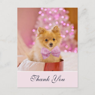Carte Postale Joli chien de Noël avec photo de nœud rose Merci