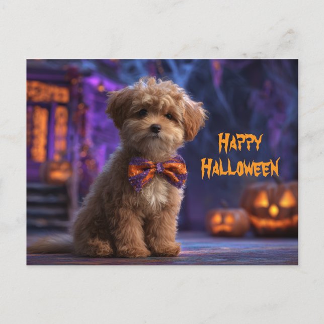 Carte Postale Joli Chien Joyeux Halloween Maison Hantée (Devant)