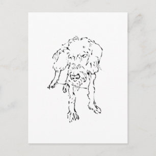 Carte Postale Joli chien teckel à poil dur