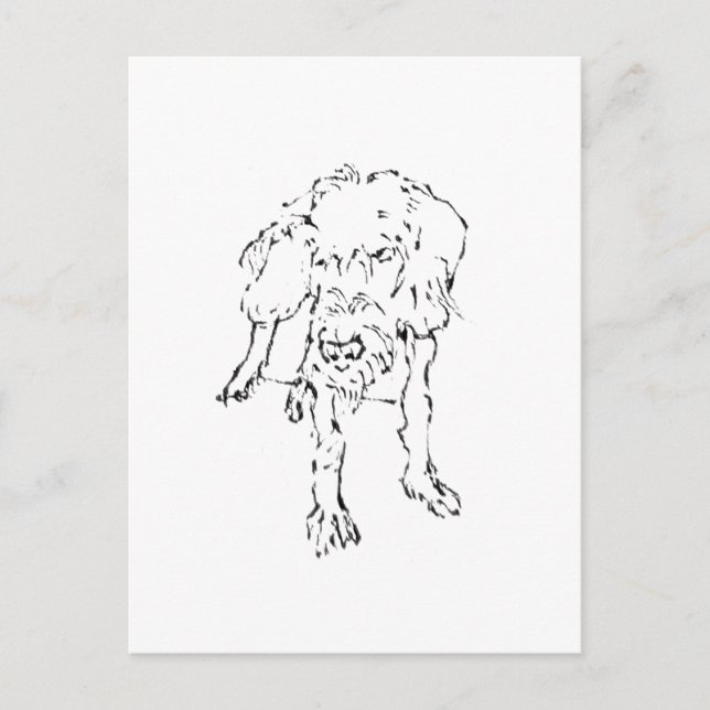 Carte Postale Joli chien teckel à poil dur (Devant)