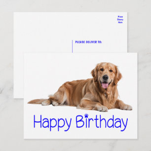 Carte Postale Joli chiot Retriever doré Joyeux Anniversaire