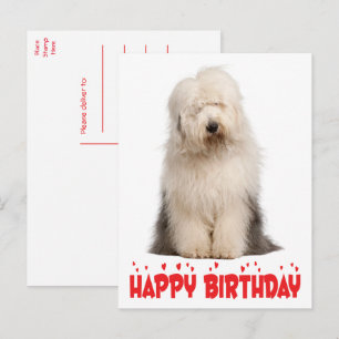 Carte Postale Joli chiot vieux chien de berger anglais anniversa